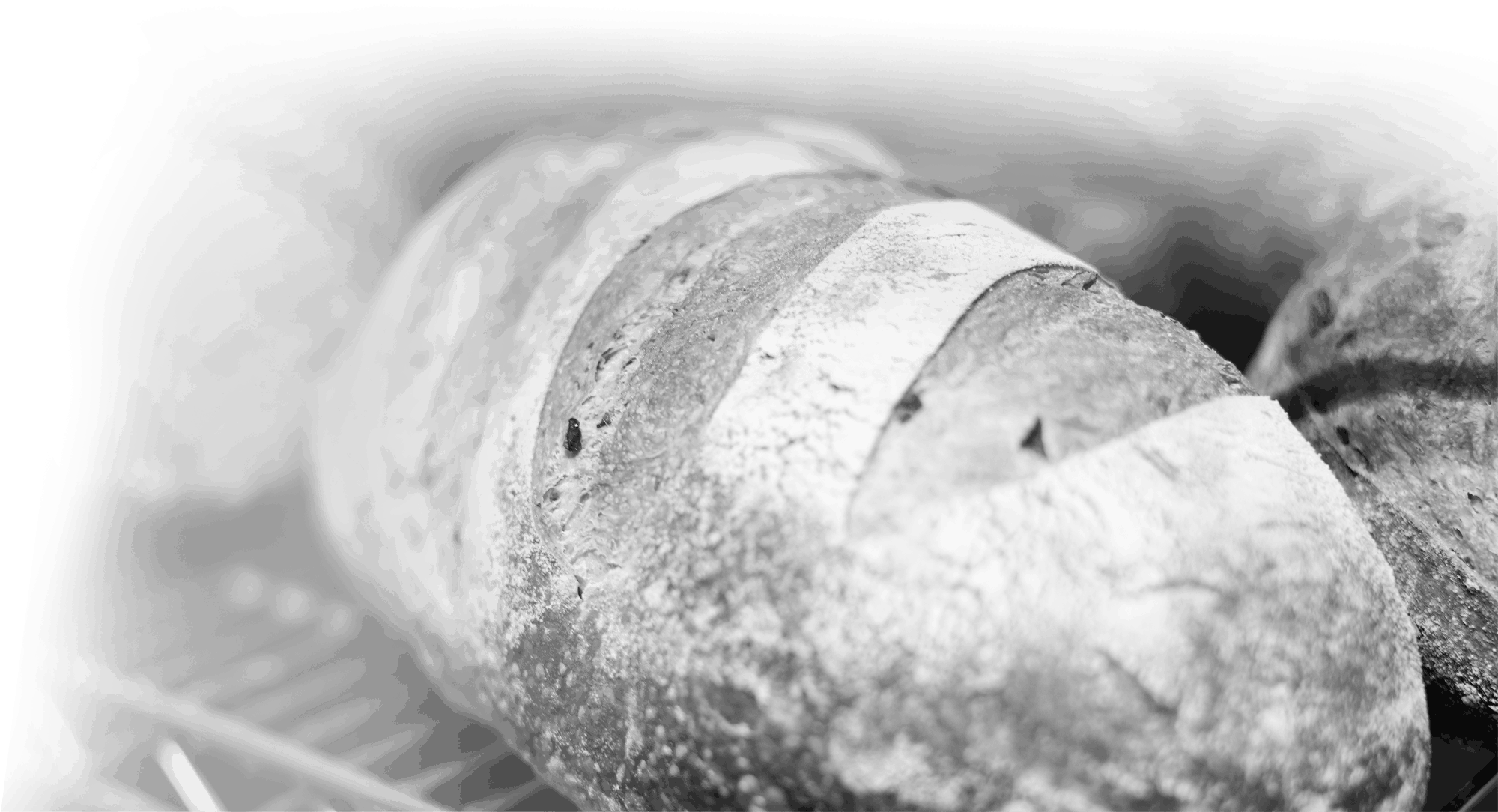 Bread Background